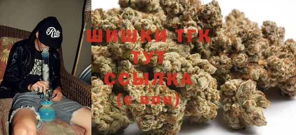 ГАЛЛЮЦИНОГЕННЫЕ ГРИБЫ Балахна