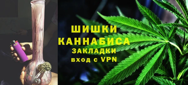 ГАЛЛЮЦИНОГЕННЫЕ ГРИБЫ Балахна