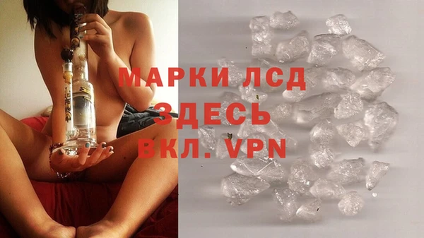 ГАЛЛЮЦИНОГЕННЫЕ ГРИБЫ Балахна